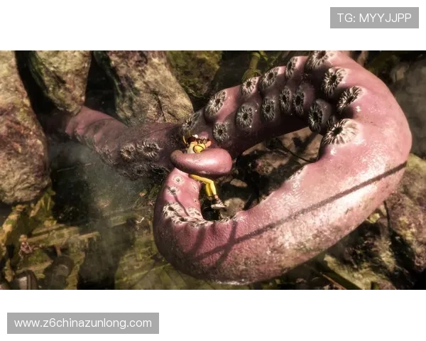 尊龙真人版全站登录优化用户体验，带来更流畅的游戏操作与互动体验