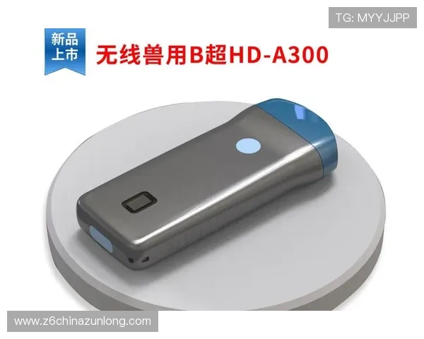 尊龙时凯时官网入口下载最新版本，详细介绍下载安装步骤与注意事项，帮助玩家顺利开启游戏之旅