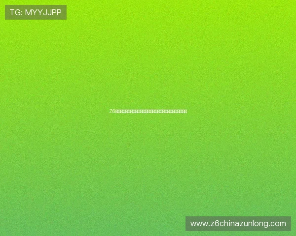 Z6网址娱乐的未来发展方向与创新策略分析助力用户把握行业新机遇 Z6网址娱乐的未来发展方向与创新策略分析助力用户把握行业新机遇